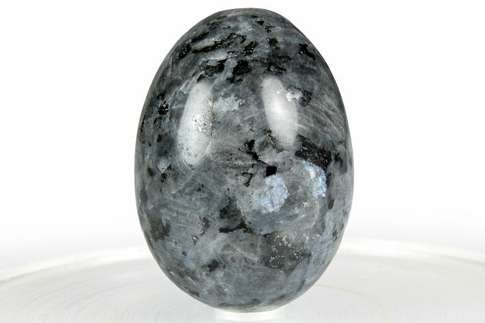 Polished Labradorite Egg - Finland #356475